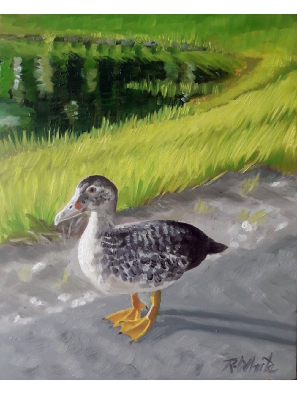 "Moscovy Crossing" Beautiful Oil on cradled Wood panel Cute Duck 8" x 10" x 1.5"